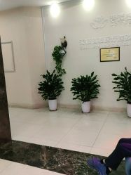 -碧莲盛·不剃发植发