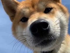 -兰剑驾校(汉阳校区)