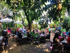 -Fern Forest Cafe