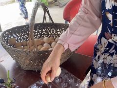 -马陆小张葡萄园农家乐