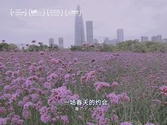 -深圳湾公园(南山区)