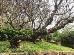 -晓港公园