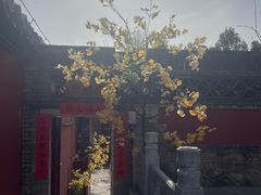 -潭柘寺景区