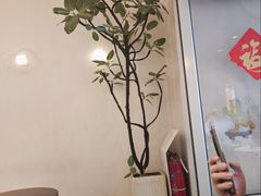 -小团圆糖水铺(襄阳南路店)