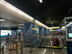 -大龙山(地铁站)