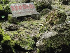 -海口火山口国家地质公园