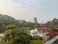 -雅达·阳羡溪山小镇中心