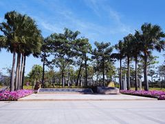 -芒洲湿地公园