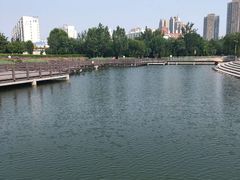 -绿岛公园(滨海新区)