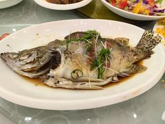 -喜满堂 望喜园·融合菜