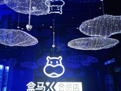 -盒马X会员店(上海森兰商都店)