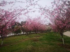 -敬亭山风景名胜区