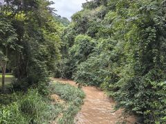 -野象谷景区