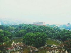 -西南政法大学(沙坪坝校区)