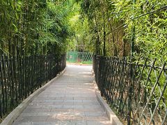 -红螺寺