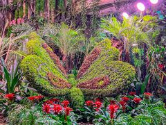 -正佳雨林生态植物园