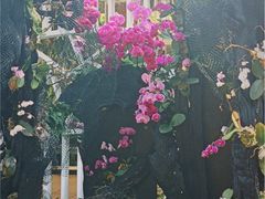 -广州兰圃