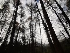 -硗碛藏寨·神木垒景区