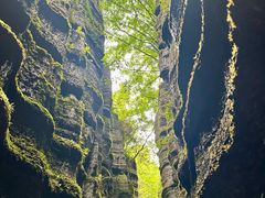 -梭布垭石林景区