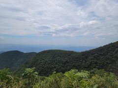 -武陵山森林公园