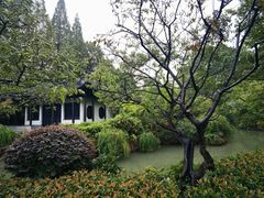 -红梅公园