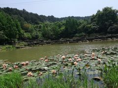 -铁山坪森林公园