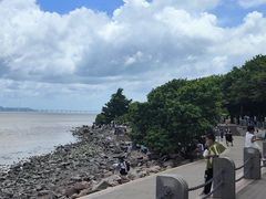 -深圳湾公园(南山区)