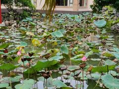 -番禺宾馆丽苑厅