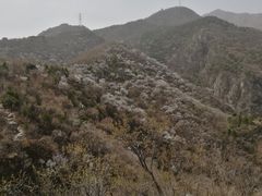 -北京鹫峰国家森林公园