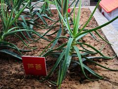 -开元商城(西旺店)