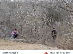 -白水寺森林公园