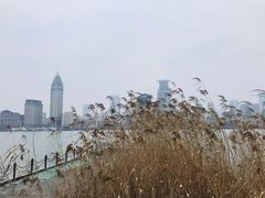 -震旦国际大楼