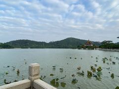 -顺峰山公园