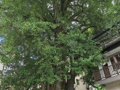 -太湖源风景区