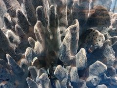 -太奥幻太奇海洋馆