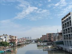 -大湾区中央湿地公园-十九涌