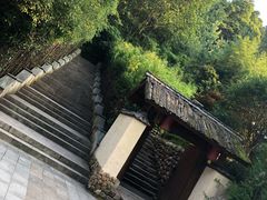 -云碧峰国家森林公园