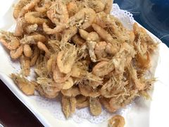 -白渔泡湿地公园