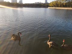 -长春世界雕塑园冰雪艺术天地