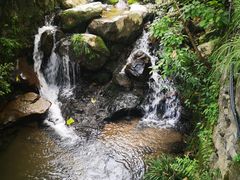 -藏龙百瀑风景区