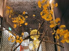 -京华烟云·北京烤鸭(领展购物广场·中关村店)