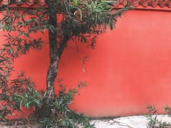 -金鸡山公园