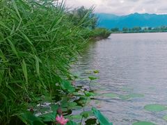 -野鸭湖国家湿地公园