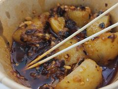 -周小亮丁家坡洋芋(全国总店)