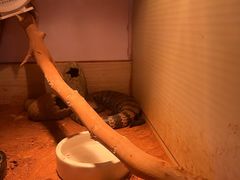 -嘉兴海底世界
