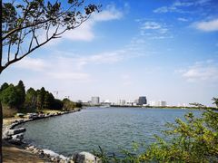 -上海滴水湖皇冠假日酒店