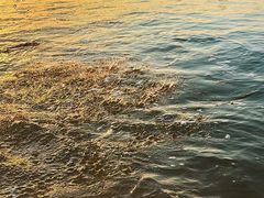 -海驴岛(荣成市)
