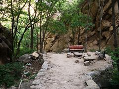 -大岭沟猕猴桃谷风景区