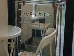 -猫里有甜