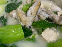 -老字号蛇口德记烧腊饭店·海鲜加工